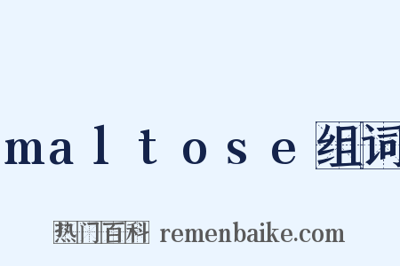 maltose组词是什么意思的图片